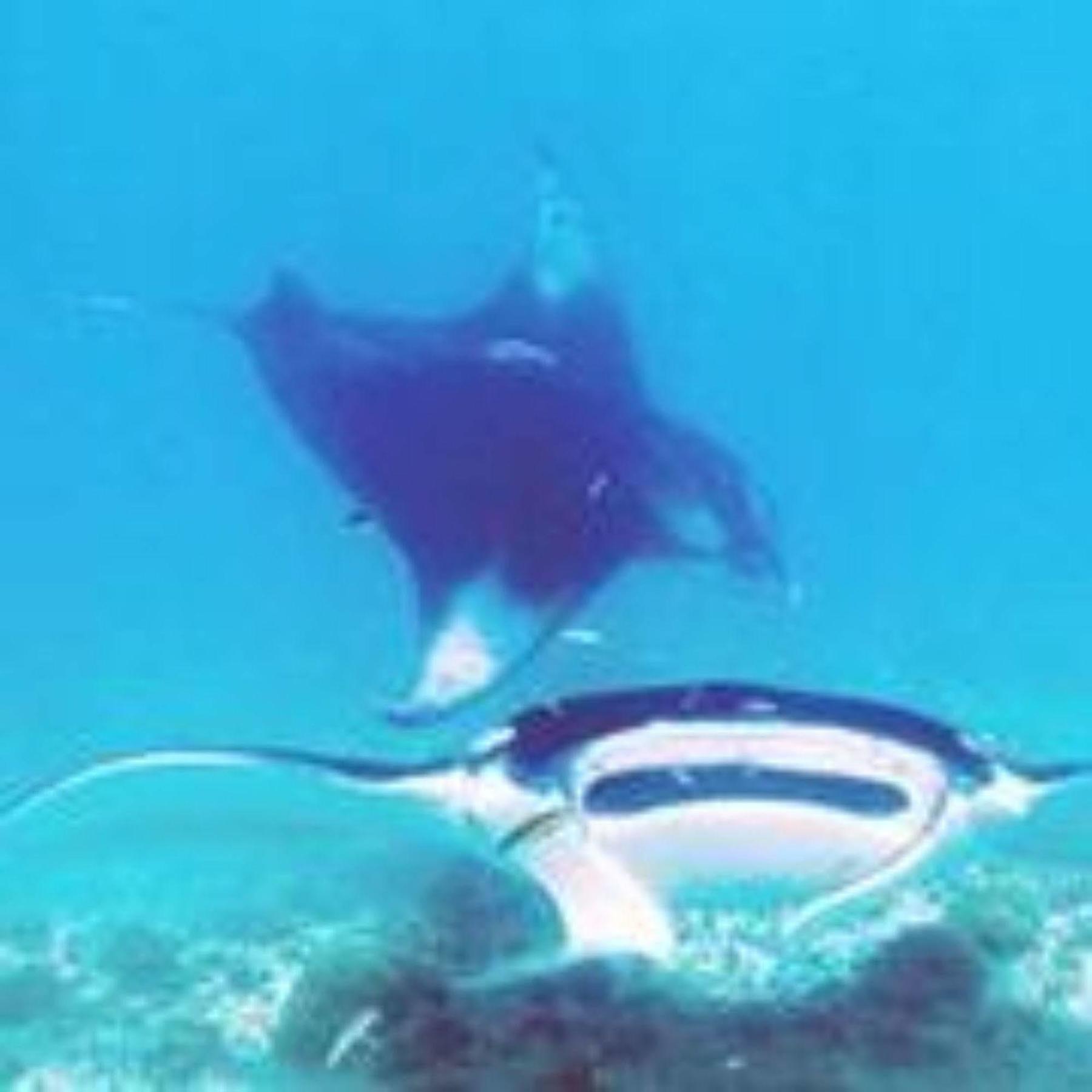 Masaaree Boutique Hotel Maafushi Εξωτερικό φωτογραφία